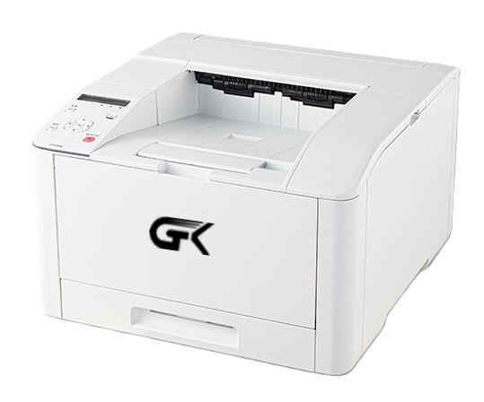 Лазерный принтер СТК C301DN